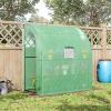 Walk-in Mini Greenhouse
