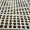 Agricultural hydroponic cuttings seedling cylindrical soilless substrate rock wool plug 27*20