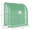 Walk-in Mini Greenhouse