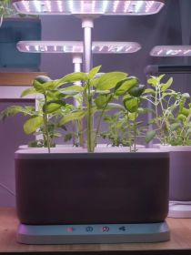 Mini Intelligent Hydroponic Planter Suitable For School, Family, Office, Home, Gift (Colour: Grey)