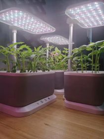 Mini Intelligent Hydroponic Planter Suitable For School, Family, Office, Home, Gift (Colour: Silver)