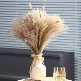 Phragmites Dried Flowers Bouquet Long Bouquet Reed Dried Natural Dried Pampa Grass Bouquet Home Wedding Living Room Decoration (Color: 100pcs  No vase)