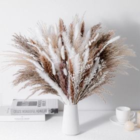 Phragmites Dried Flowers Bouquet Long Bouquet Reed Dried Natural Dried Pampa Grass Bouquet Home Wedding Living Room Decoration (Color: 60pcs  No vase)