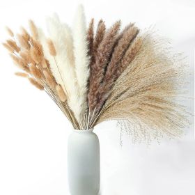 Phragmites Dried Flowers Bouquet Long Bouquet Reed Dried Natural Dried Pampa Grass Bouquet Home Wedding Living Room Decoration (Color: 62pcs  No vase)