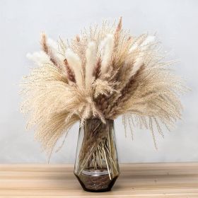 Phragmites Dried Flowers Bouquet Long Bouquet Reed Dried Natural Dried Pampa Grass Bouquet Home Wedding Living Room Decoration (Color: Default)