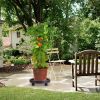 4Pcs 12.8IN Or 14IN Plant Caddy With Wheels Up to 187LBS Load Capacity Rolling Plant Stand